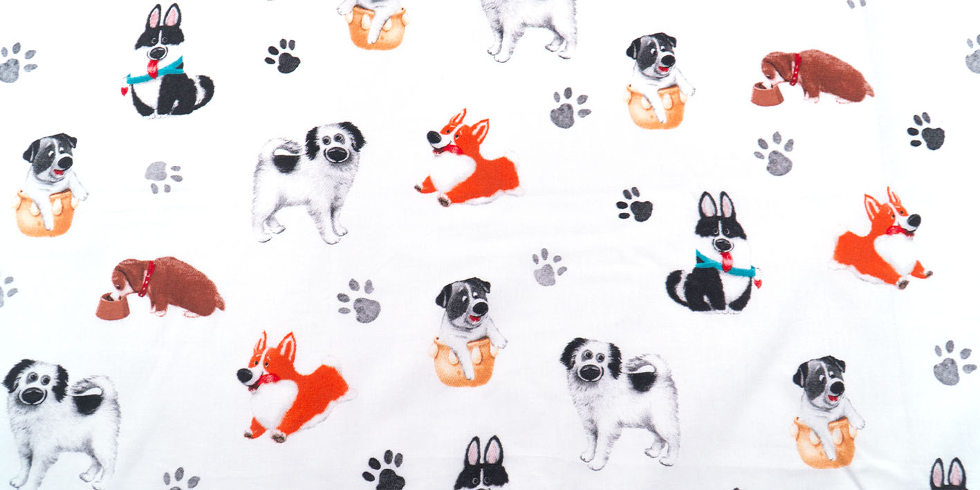 pościel 100x135 pies dream mięta 5904708912908 4580B 